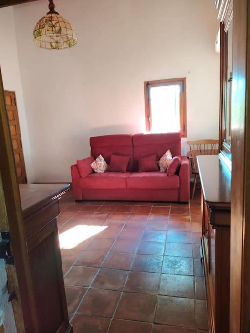 Loue Grand 40m, 2 Pieces Ampus
