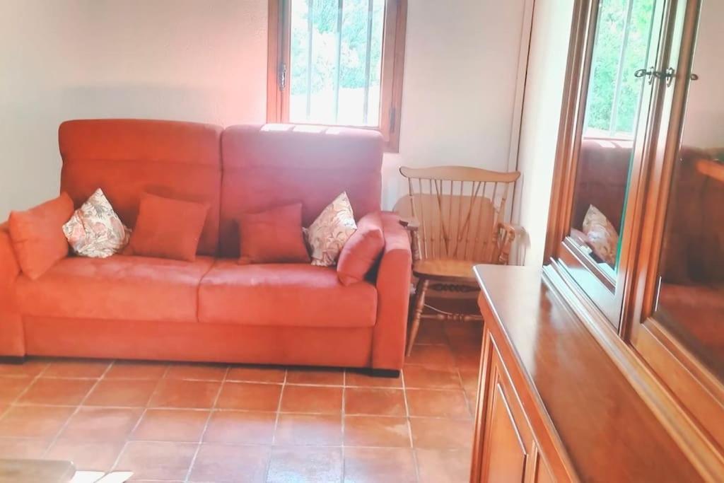 Loue Grand 40m, 2 Pieces Ampus